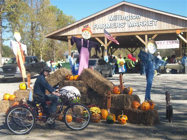 Farmers Market fall photo